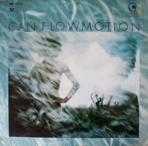 Flowmotion