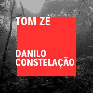 Danilo Constelação cover